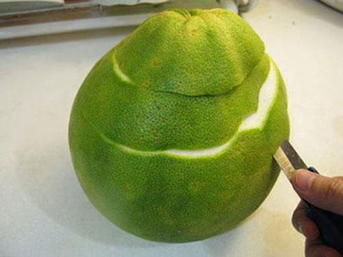 ly-do-khong-nen-vut-bo-vo-buoi